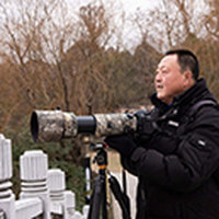 江子glj