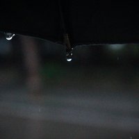 li一一il