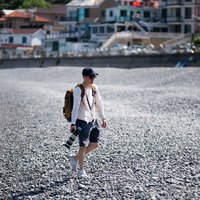 风行者398