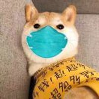 独钟ⁿ
