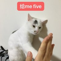 不方便透露姓名的仙女