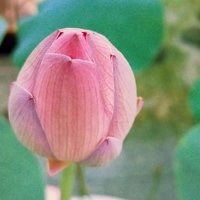 小念の