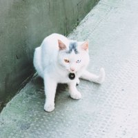 我叫刘强