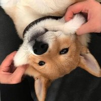 叫我王大大就行