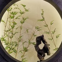 背身单打