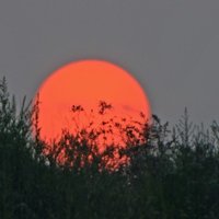 sl河东人