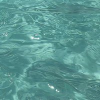 水族馆老板