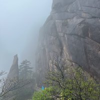 青青湖边草