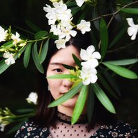 白马非马1029