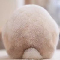 政通人和919