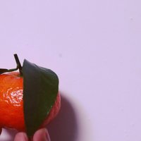 贪吃的加菲猫