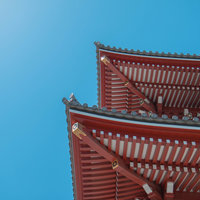 小艺喵