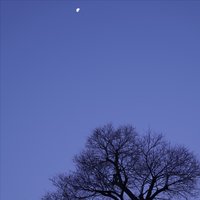 摄影师-阿列