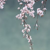 羽伱相约