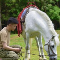 刘浪詩人
