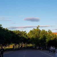 松悟空
