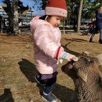 乔乐-产品部