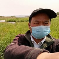 没落贵族a