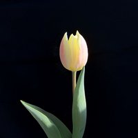 光的形状