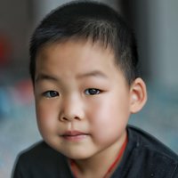龙骑2020