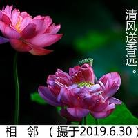 邵文琪