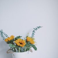 Violet_贝