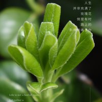 nice_随缘