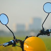 我的城市没有家