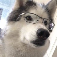社工小宇