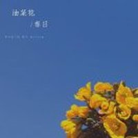 啊哈704