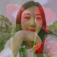 爱拍照的付二蛋