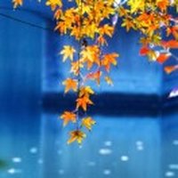 江东佬