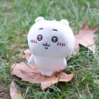 西瓜皮皮侠