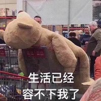 是咕咕a