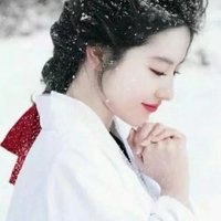 楚天朔风