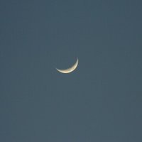长星diko