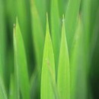 语众不同