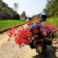 走读西湖