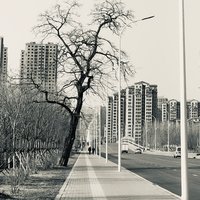 懒人su