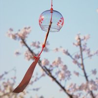 念泽曦