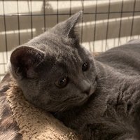 甜瓜123