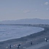 莫256