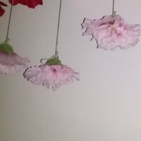 心心心花怒放