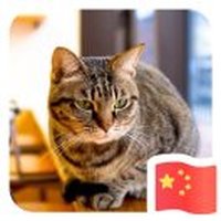 天青色328