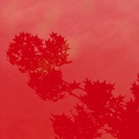 手机拍照的学渣