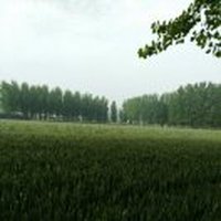 方圆之外929