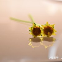 装妃