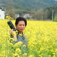 杨主伟摄影