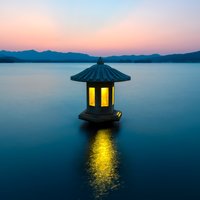 牛氓鸽鸽