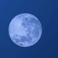 李陌染